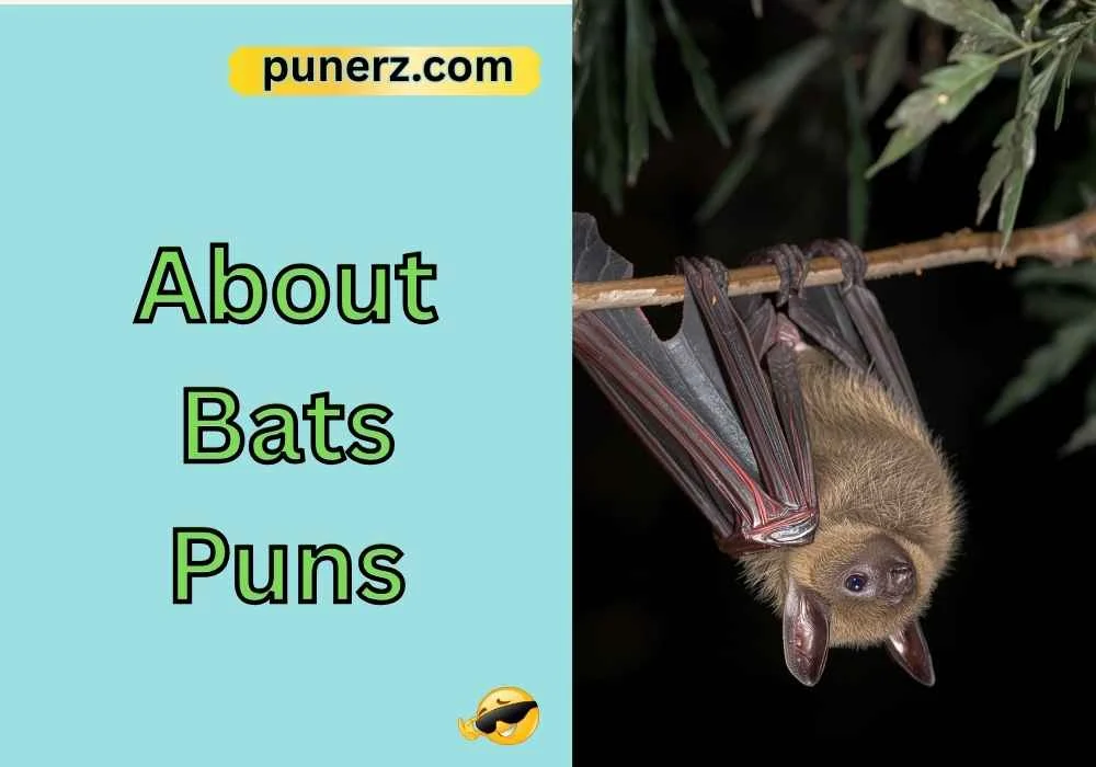 About Bats Puns