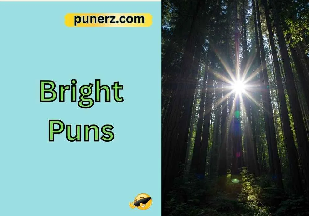 Bright Puns