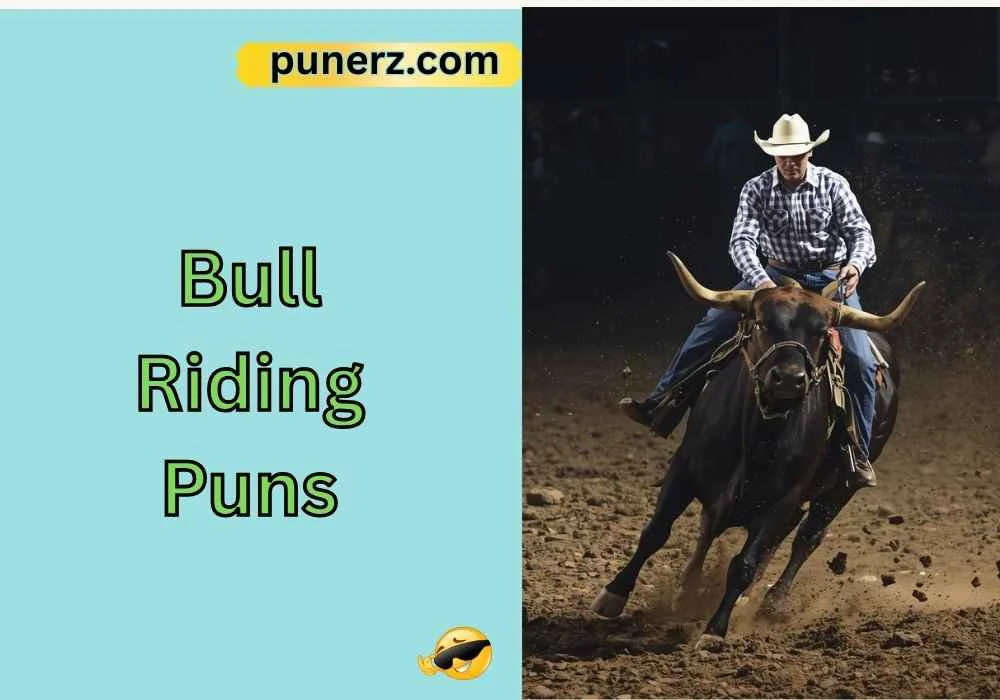 Bull Riding Puns