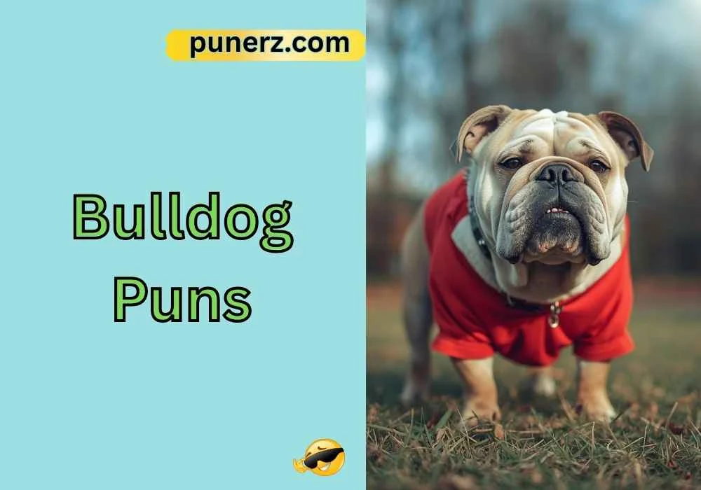 Bulldog Puns