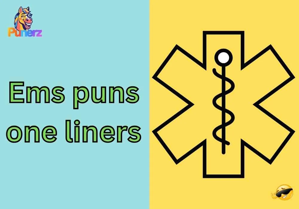 Ems puns one liners