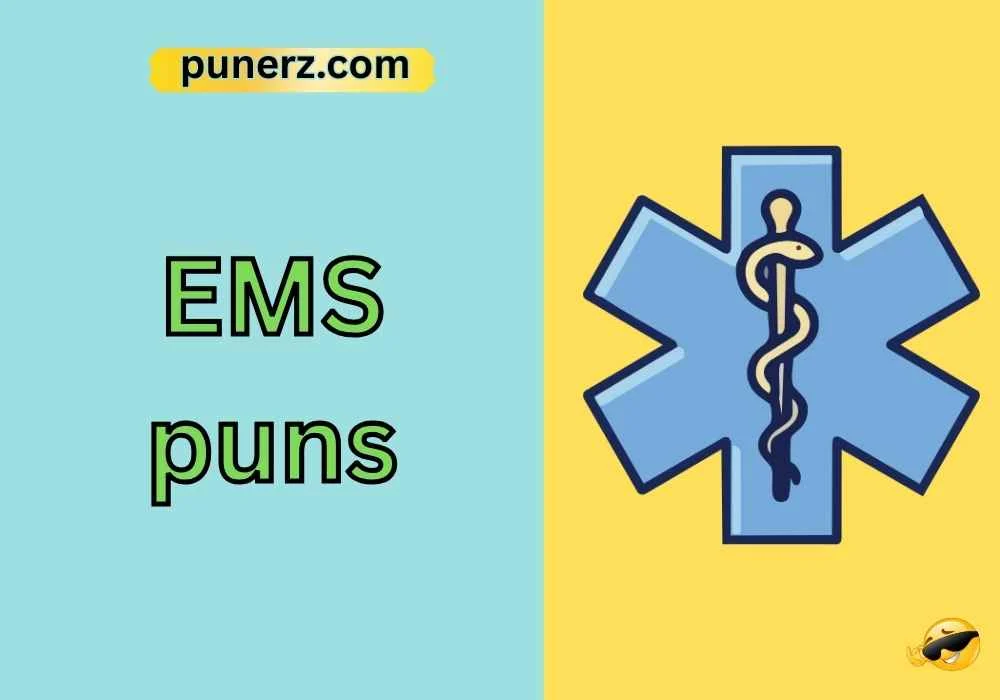 EMS puns