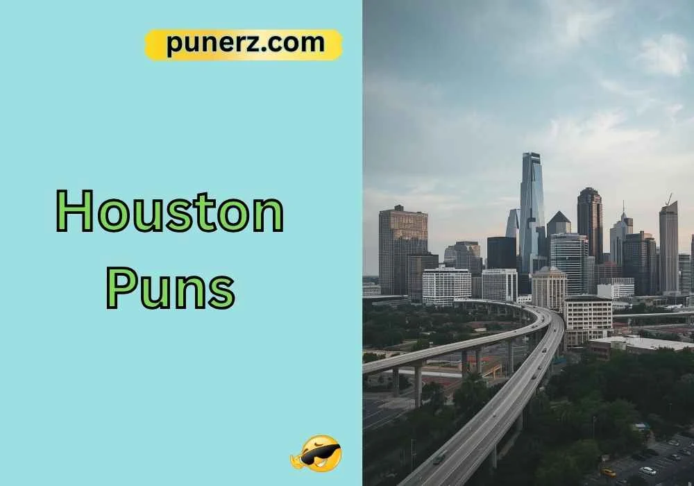 Houston Puns