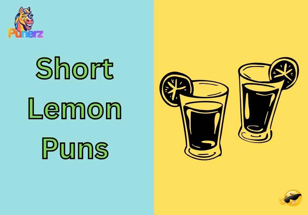 Short Lemon Puns