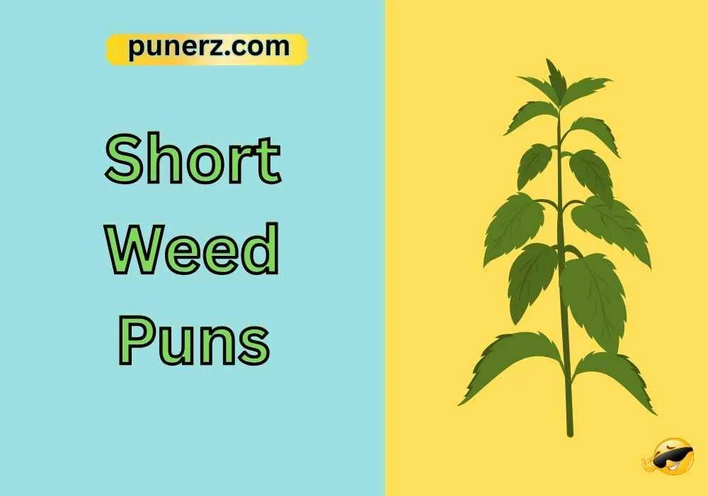 Short Weed Puns