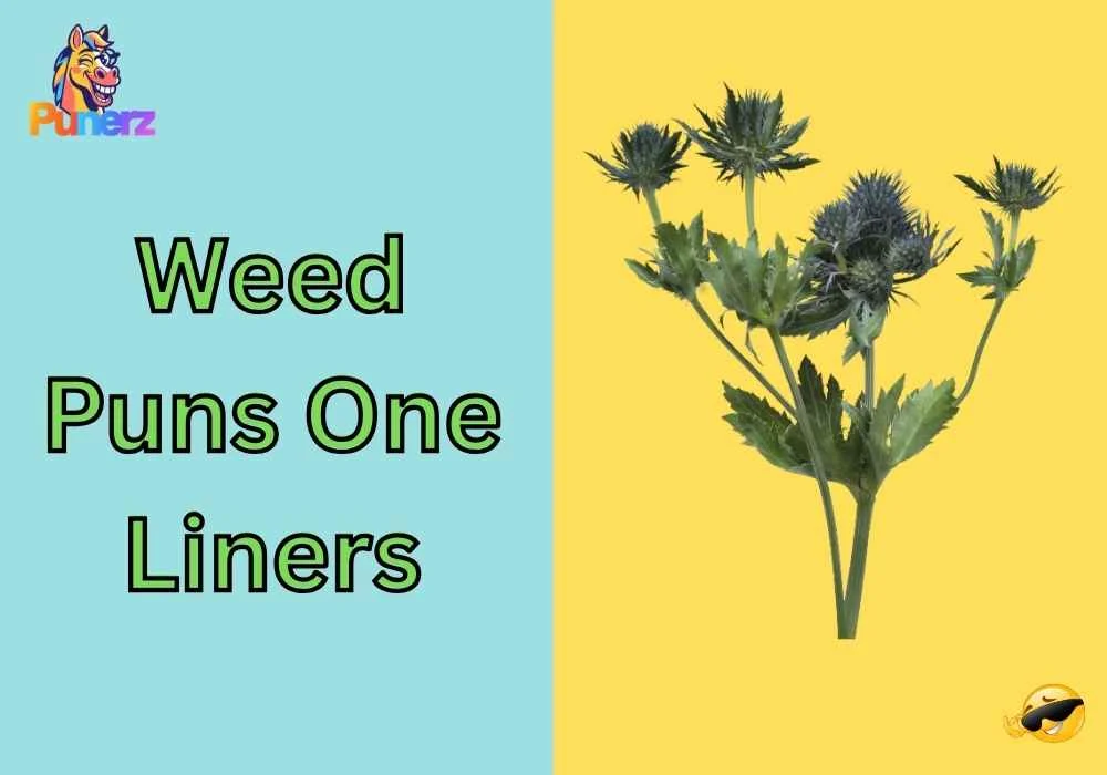 Weed Puns One Liners