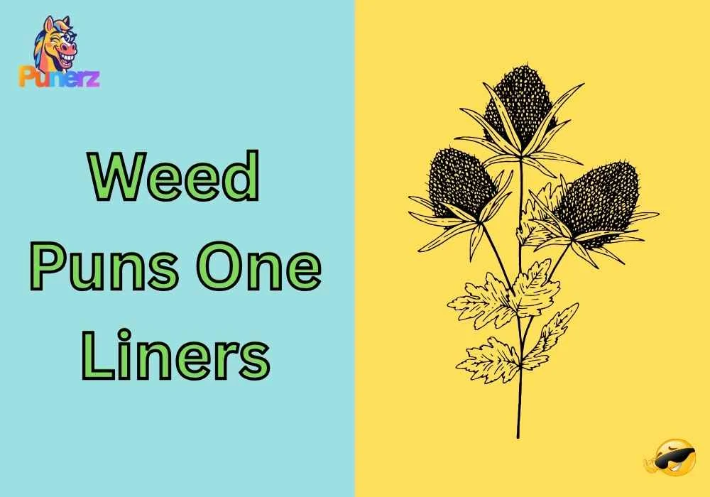Weed Puns Reddit