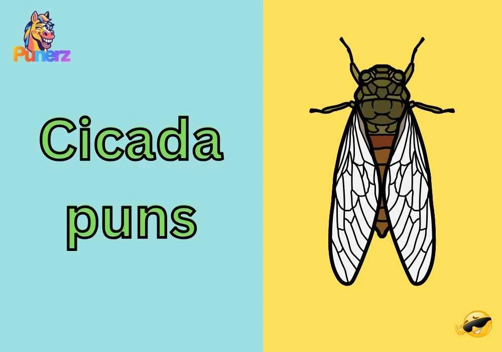 cicada puns