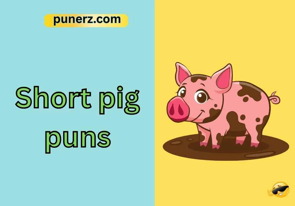 short pig puns