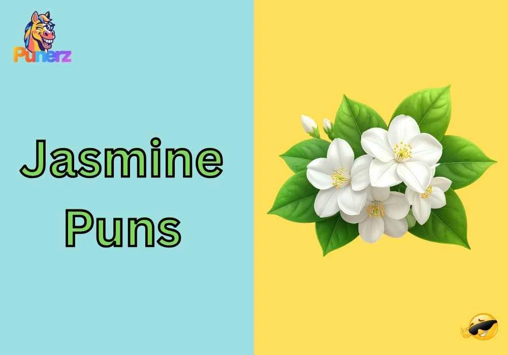 Jasmine Puns