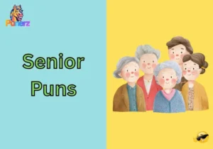 Senior Puns