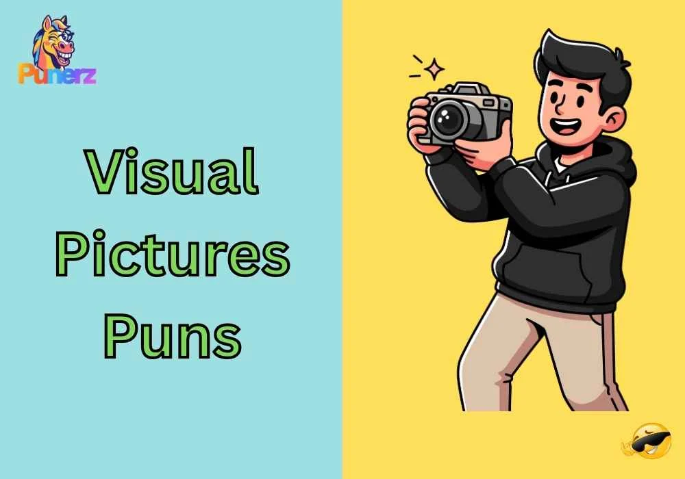 Visual Pictures Puns