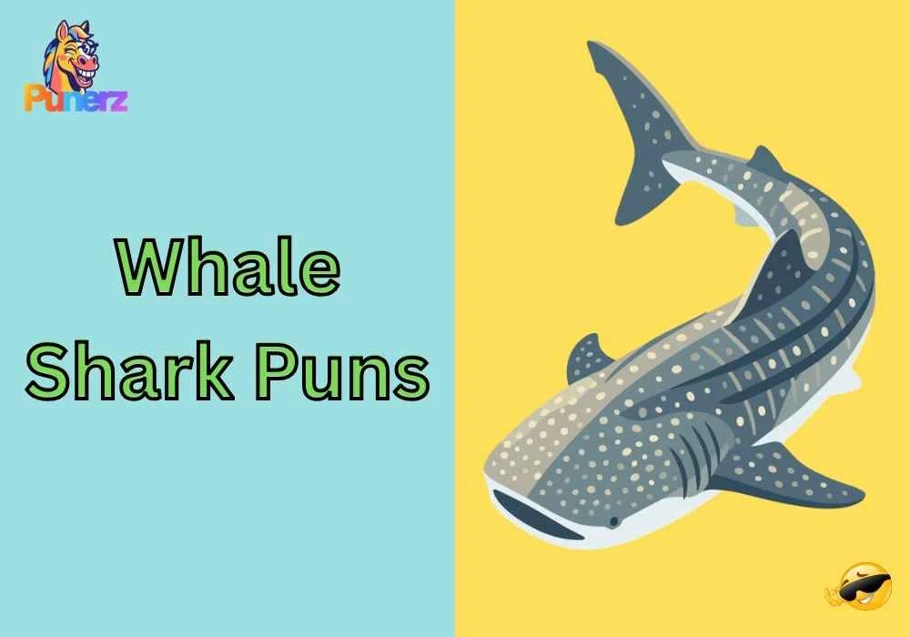 Whale Shark Puns