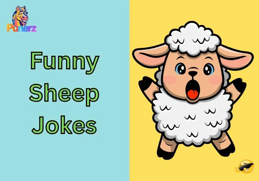 Funny Sheep Jokes