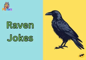 Raven Jokes