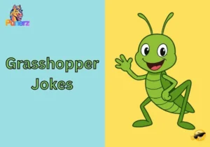 Grasshopper Jokes