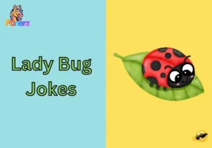 Lady Bug Jokes
