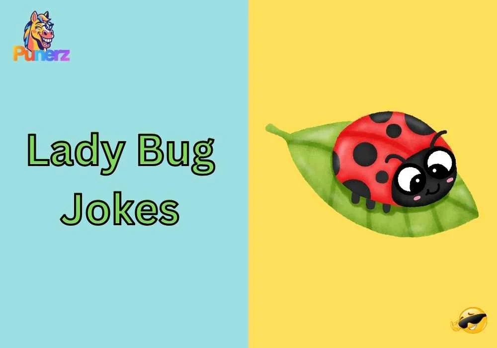 Lady Bug Jokes