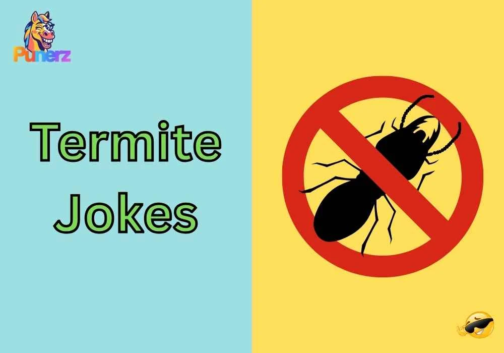Termite Jokes